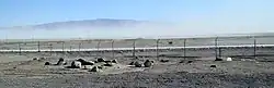 A dust storm forms over the dry Searles Lake bed, viewed from the Trona tourist stop.
