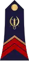 Caporal (Burkina Faso Ground Forces)[37]