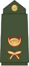 Lieutenant Nepali: उपसेनानी, romanized:&nbsp;Upasēnānī (Nepali Army)[56]