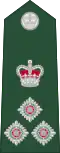 Brigadier general (Barbados Regiment)