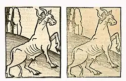 Bos primigenius taurus. Left: Hortus Sanitatis, Straßburg 1497 (II, 14). Right: Kleines Destillierbuch (Blatt 87r)