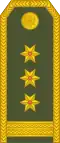 Pukovnik (Montenegrin Ground Army)[15]