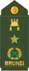 Brigedier jeneral (Royal Brunei Land Force)[15]