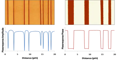 180° ferroelectric domains as imaged by PFM