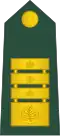 Generalpodpolkovnik (Slovenian Ground Force)[6]