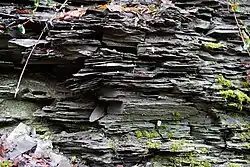 Detail of the schist sheets.