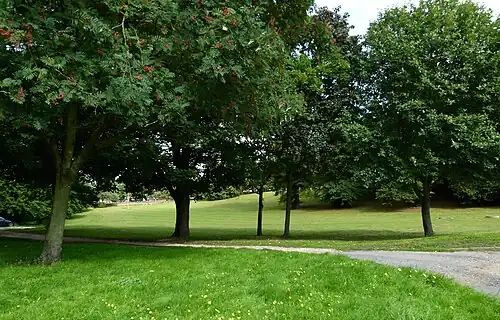 from Green Hill, road leading to Repository Woods