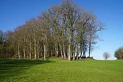 The Ghautier well slag heap