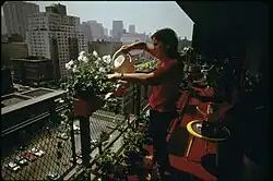 Nature in New York City, 1974, Suzanne Szasz