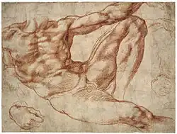Michelangelo – Studies of a reclining male nude: Adam in the fresco The Creation of Man on the vault of the Sistine Chapel, c. 1511