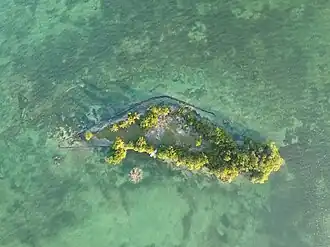 Coffee Caye from above