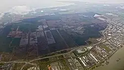Aerial view of Burns Bog from the northeast