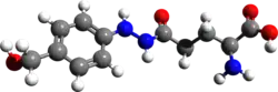 Ball and stick model of agaritine ((2S)-2-amino)