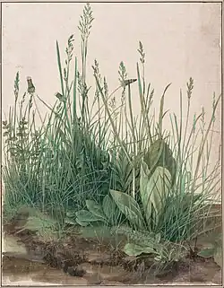 Large Piece of Turf (1503), watercolour and gouache w/highlighting, 40,8&nbsp;×&nbsp;31,5&nbsp;cm, Albertina