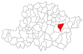 Location in Arad County