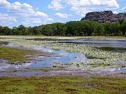 Photo of Anbangbang Billabong