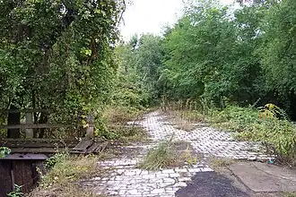 Anhalter Güterbahnhof 2005 - part of the overgrown area further south.