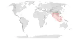 Map showing the range of Apis andreniformis
