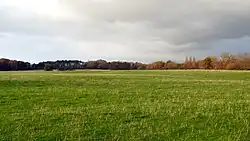Photo of a large, flat field, surrounded by trees in the far distance.