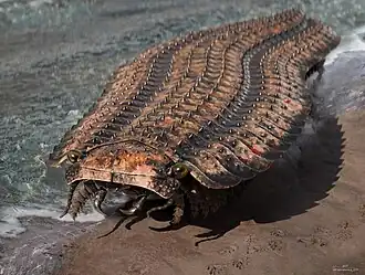 Arthropleura was a giant millipede that fed on the Carboniferous plants. At 8&nbsp;ft (240&nbsp;cm) long, it was the largest known terrestrial arthropod that ever lived.
