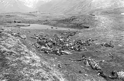 Japanese troops lie where they fell during the final banzai charge at Chichagof Harbor on 29 May 1943.