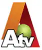 ATV (A Shalimar Television Network Channel)