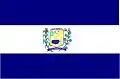 Flag of Caldas Brandão