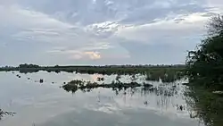 Along the road connecting Badin and Nindo Shaher