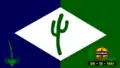 Flag of Olivedos
