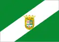 Flag of El Real de la Jara, Spain
