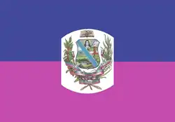 Flag of Independencia Municipality