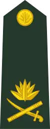 Major general (Bengali: মেজর জেনারেল, romanized:&nbsp;Mējara jēnārēla) (Bangladesh Army)[10]