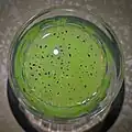 Basil seeds in a melon-flavored drink