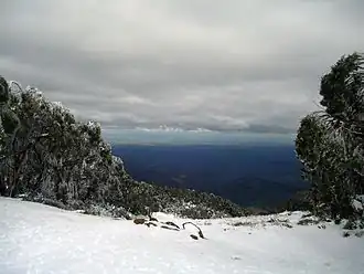 View from the summit of Mt. Baw Baw