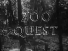 Zoo Quest series title card