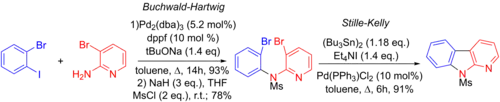 Synthesis of benzo[4,5]furopyridines