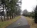 Trail south of Wilson Boulevard near North Edison Street, looking southwest (January 2017)
