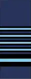 Marshal of the RAF sleeve insignia