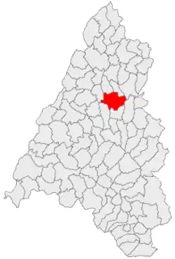 Location in Bihor County