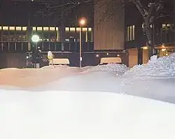 Buffalo, New York, after 82.3 inches (209&nbsp;cm) of snow fell from December 24, 2001, to December 28, 2001