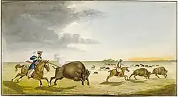 Métis in capotes hunting buffalo in the Red River area (1822)