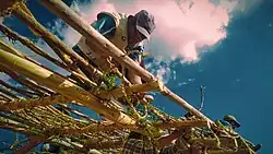 Building process of a grass roof in Chinchaypujio during a faena