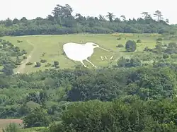 A kiwi cut into the hillside. The Bulford Kiwi near Bulford