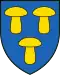 Coat of arms of Champagne