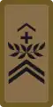OR-6 - Sergeant major