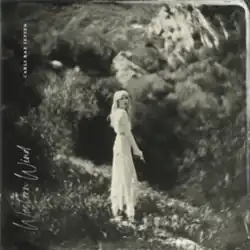 A blurry black-and-white photo of Jepsen in a white dress stood in the middle of the woods.