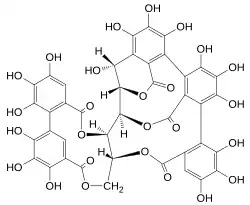 Chemical structure of castalagin