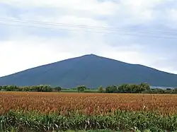 Fields near Celaya, Guanajuato.