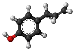 Ball-and-stick model of the chavicol molecule