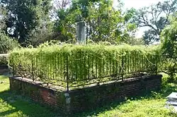 An example of iron work in Church Street Graveyard.